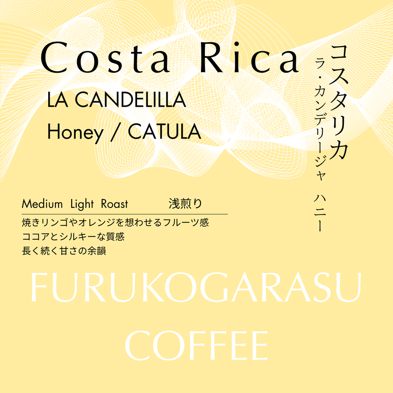 コスタリカ】ラ・カンデリージャ ハニー – KUROMON COFFEE