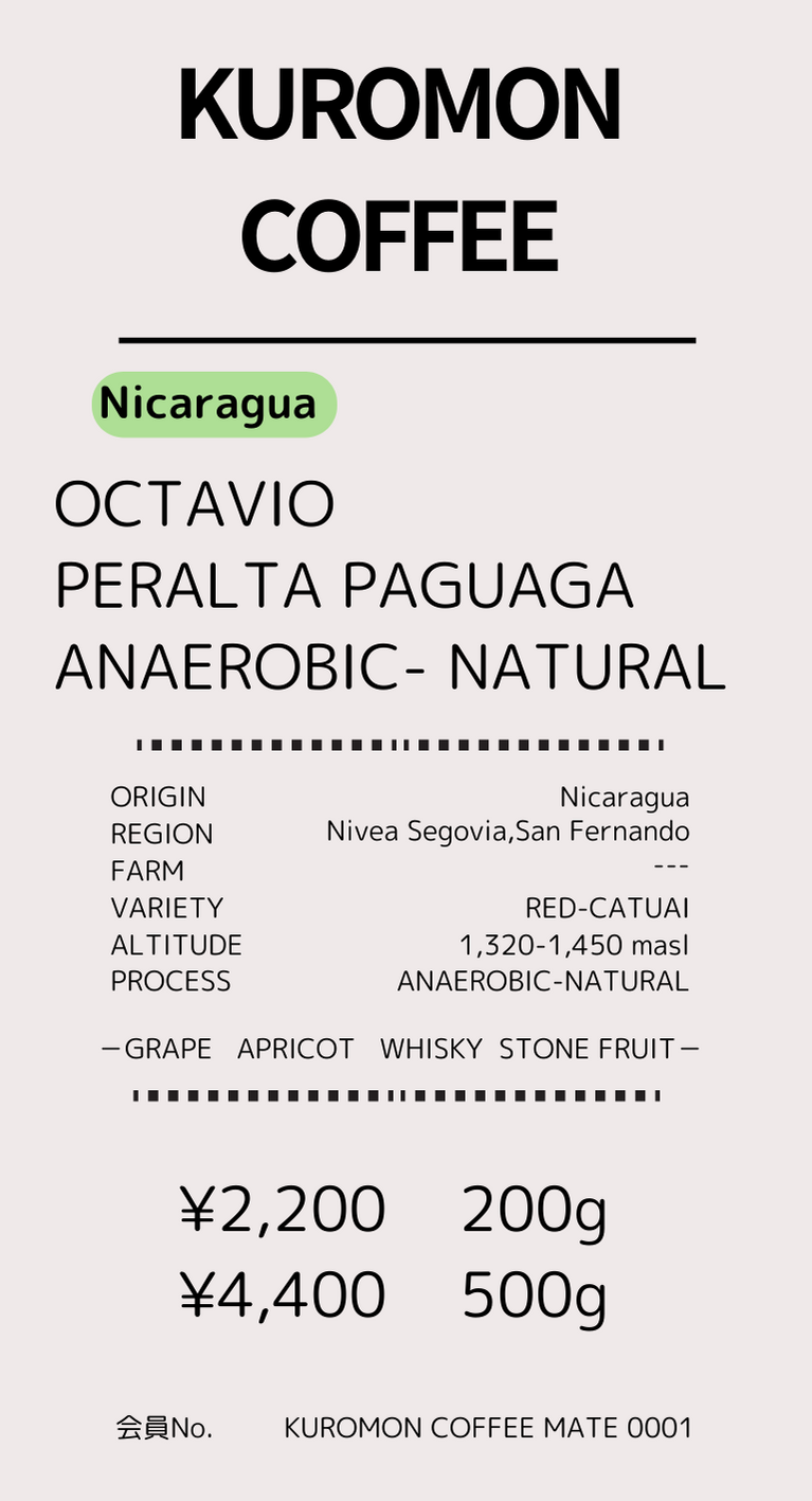 【Nicaragua】Octavio Peralta Paguaga Natural-Anaerobic