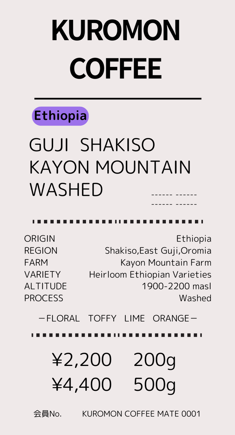【Ethiopia】グジ　シャキソ　カヨンマウンテン　ウォッシュト