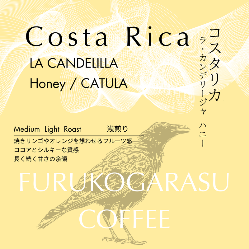 【コスタリカ】ラ・カンデリージャ ハニー