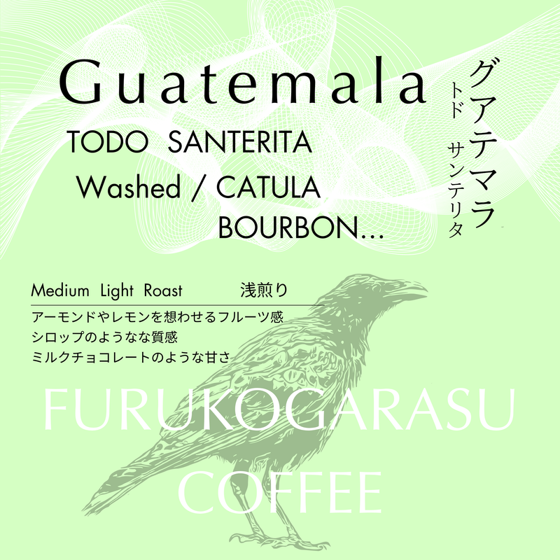 【グアテマラ】トド サンタリタ ウォッシュト