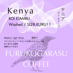 【ケニア】ロイファーム ウォッシュト -キアンブ